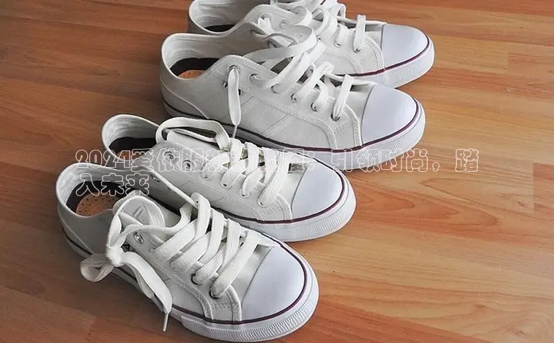 意昂体育百度Apollo2024爱依服新款鞋履：引领时尚，踏
入未来