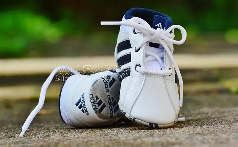 意昂体育入口百度技术学院2024 年夏秋季节必备：百搭鞋款，
时尚百变，尽显个性