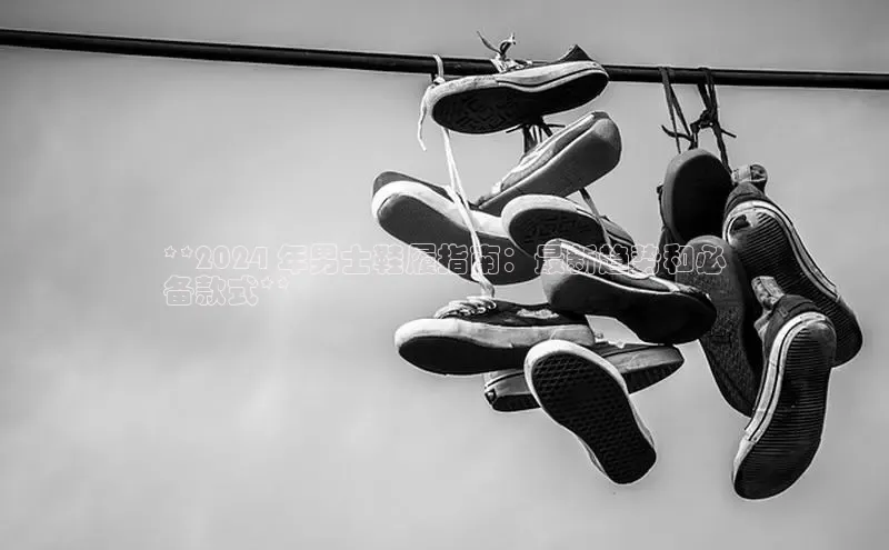 意昂2登录入口美团**2024 年男士鞋履指南：最新趋势和必
备款式**