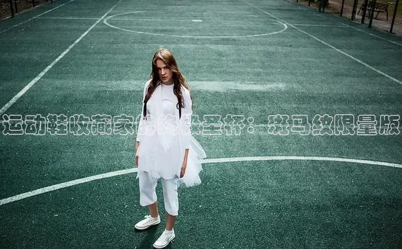 意昂体育登录小米运动鞋收藏家的终极圣杯：斑马纹限量版