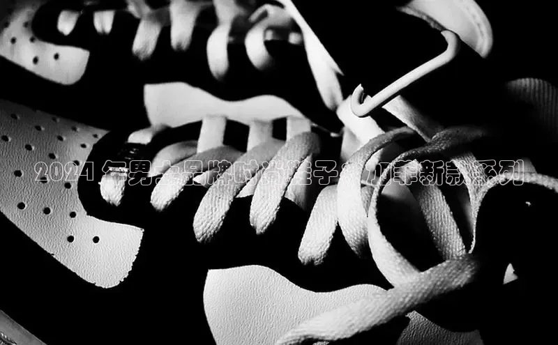 意昂体育平台APP中海达2024 年男士品牌时尚鞋子：加菲新款系列