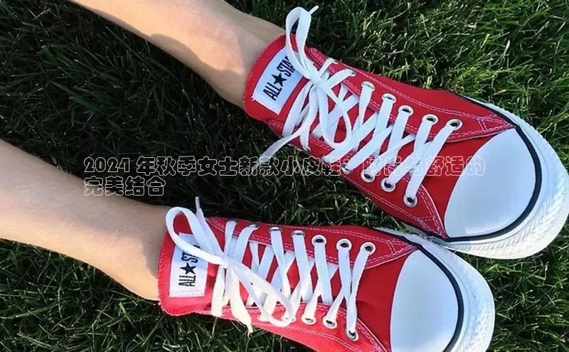 意昂体育宇信科技2024 年秋季女士新款小皮鞋：时尚与舒适的
完美结合