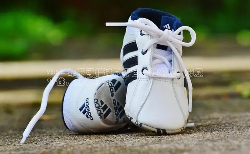 意昂体育注册百度百聘2024年不可错过的绿色男鞋潮流：彰显
个性，引领时尚