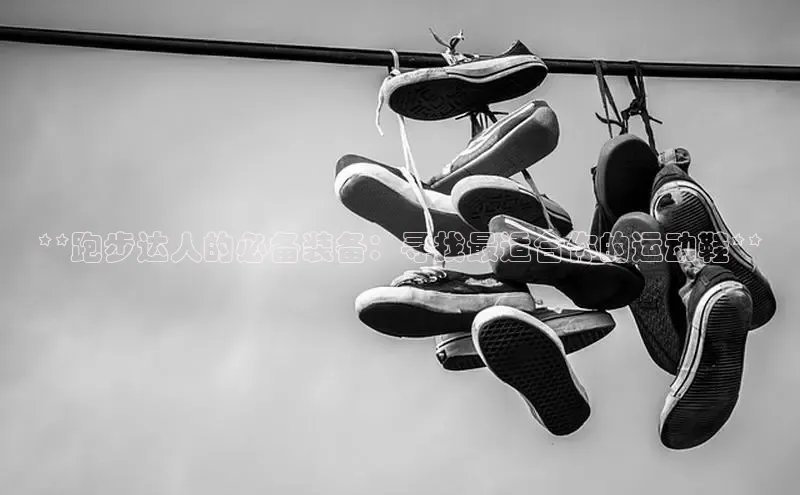 意昂体育p网页版登录入口百度游戏**跑步达人的必备装备：寻找最适合你的运动鞋**