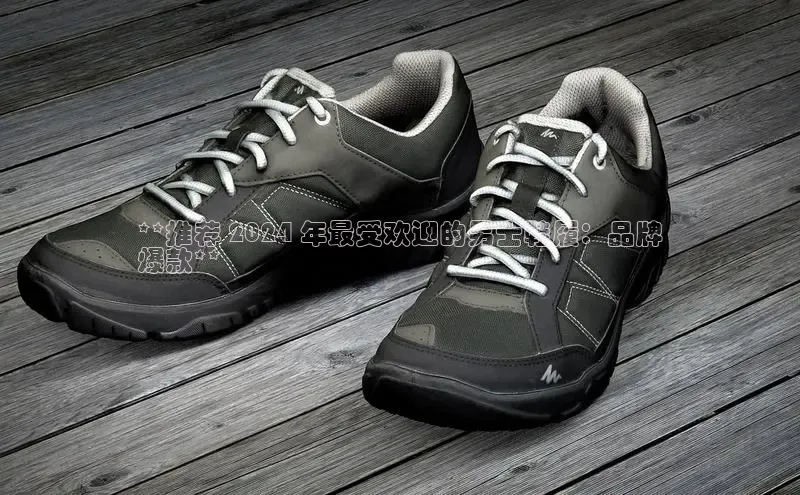 意昂体育宇信科技**推荐 2024 年最受欢迎的男士鞋履：品牌
爆款**