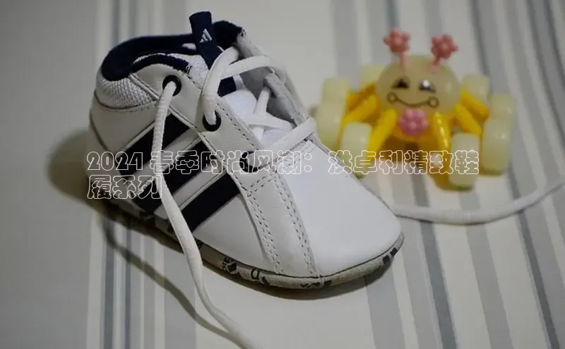 意昂体育app网页版登录入口滴滴出行2024 春季时尚风潮：洪卓利精致鞋
履系列