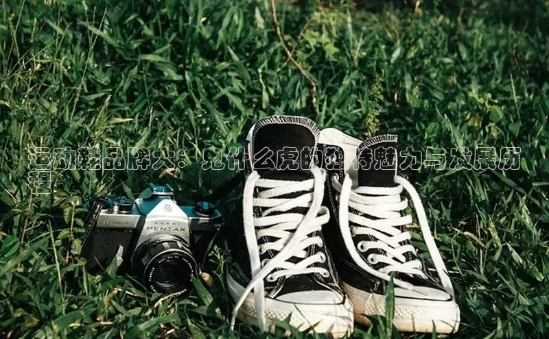 意昂体育搜索资源平台运动鞋品牌大：鬼什么虎的独特魅力与发展历
程