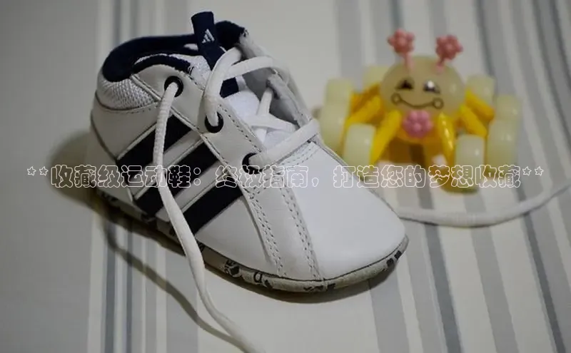 意昂体育同城**收藏级运动鞋：终极指南，打造您的梦想收藏**