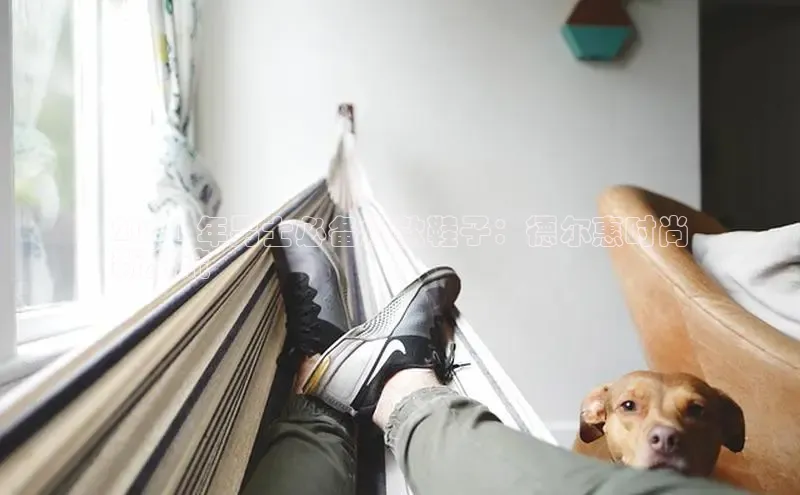 意昂体育官网神思电子2024 年男士必备爆款鞋子：德尔惠时尚
新潮流