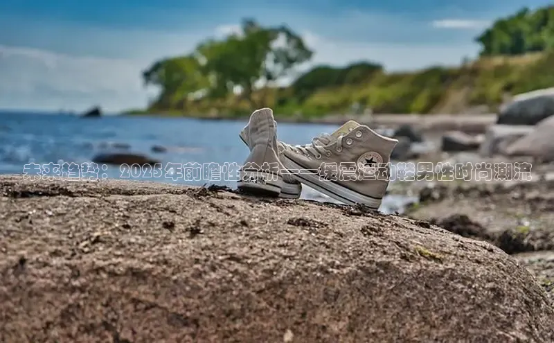 意昂体育入口华扬联众未来趋势：2025年前瞻性分析——缓震运动鞋男性时尚潮流