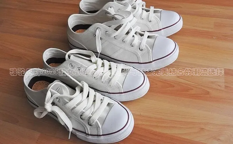 骆驼品牌2025款女式运动鞋，时尚与舒适完美结合的潮流选择