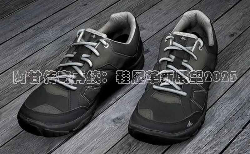 阿甘传奇再续：鞋履革新展望2025